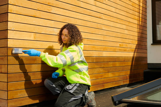 Best Vinyl Siding Installation  in Paradise, NV